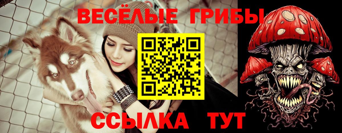 Псилоцибиновые грибы мухоморы Лысьва